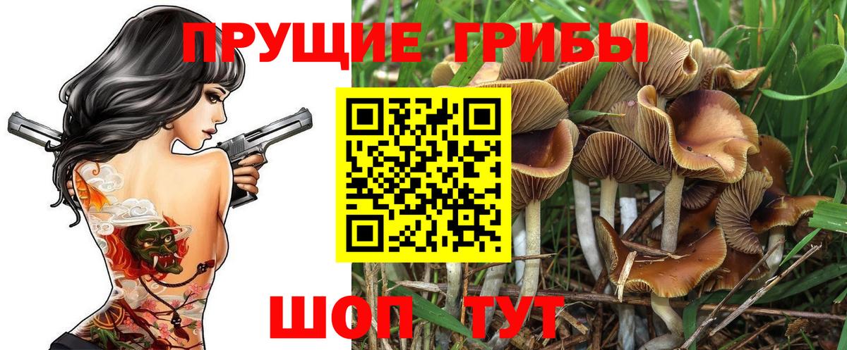 Псилоцибиновые грибы MAGIC MUSHROOMS  Вход с VPN  Вязники  Псилоцибиновые грибы Psilocybe 